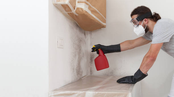 Professional Attic Mold Removal technician working in Hathorne, MA